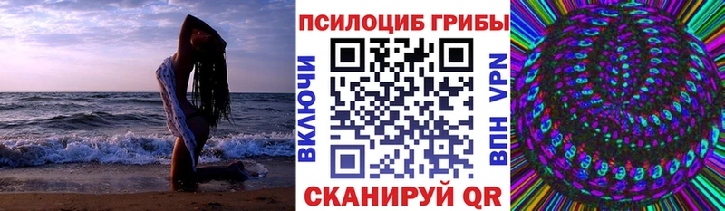 Псилоцибиновые грибы Magic Shrooms  Лыткарино 