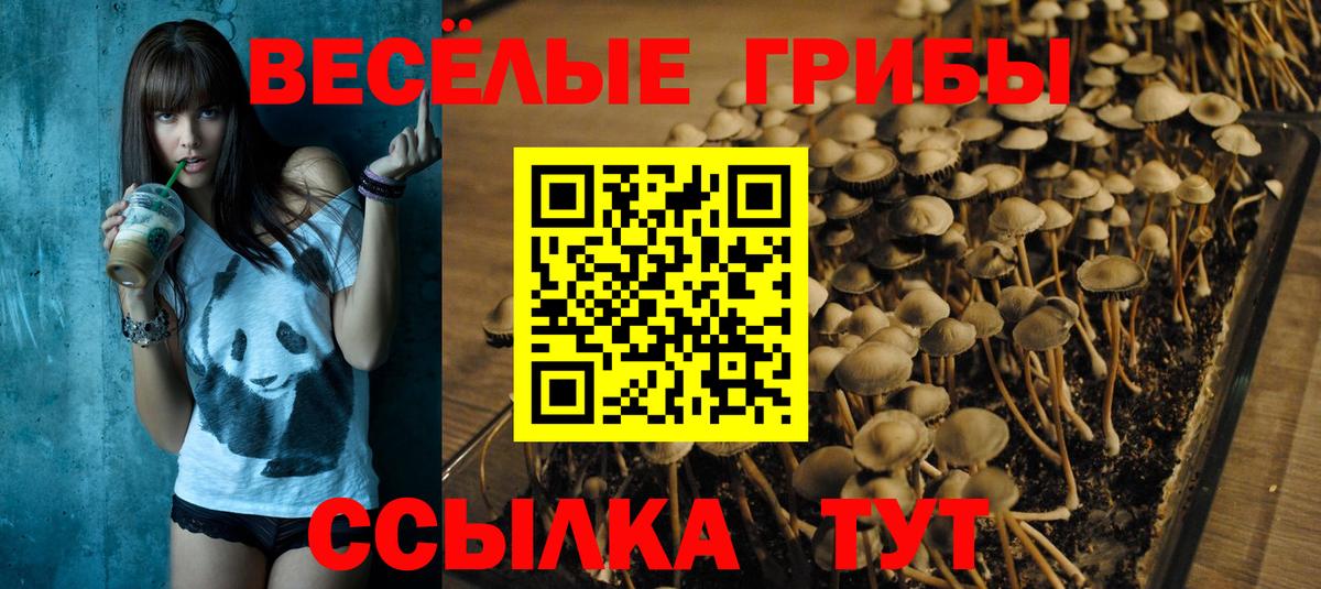 МЕФ Лыткарино