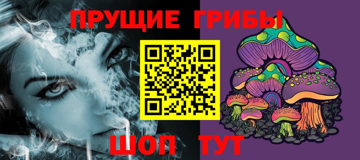 Лыткарино  наркота  Вход с VPN  Псилоцибиновые грибы Cubensis 