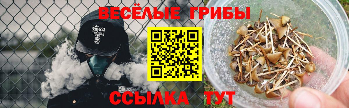 Псилоцибиновые грибы Psilocybine cubensis Лыткарино